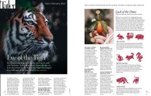 Tatler Singapore - Eye of the Tiger - Kevin Foong