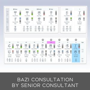 Bazi Consultation Online with Senior Consultant - Kevin Foong