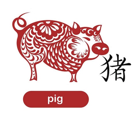 2018 Pig Forecast